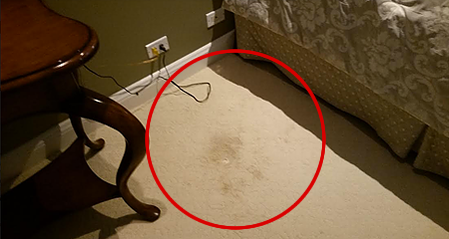 how will I remove carpet stain?