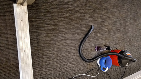 how will I remove carpet stain?