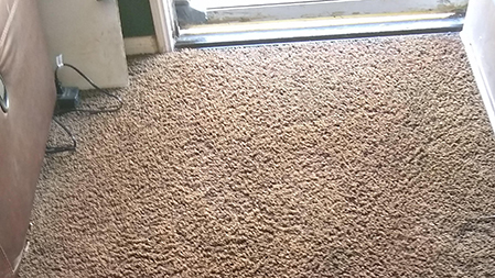 carpet stain remover used special carpet dye for this stain