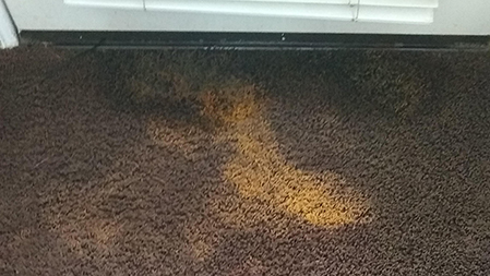 how will I remove carpet stain? 