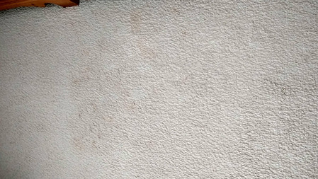 carpet stain remover used special carpet dye for this stain