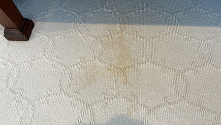 carpet stain remover used special carpet dye for this stain