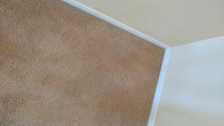 how will I remove carpet stain? 