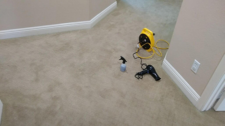 carpet stain remover used special carpet dye for this stain 