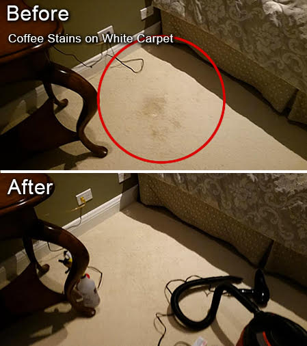 Coffee Stains on Wool Carpet