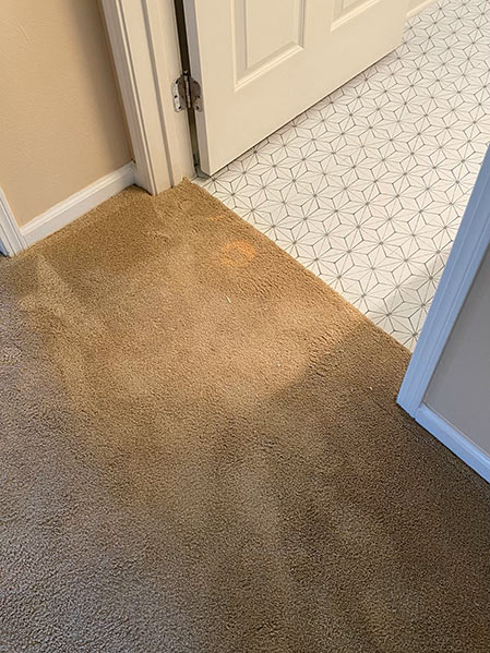 Bleach stains on brown carpet